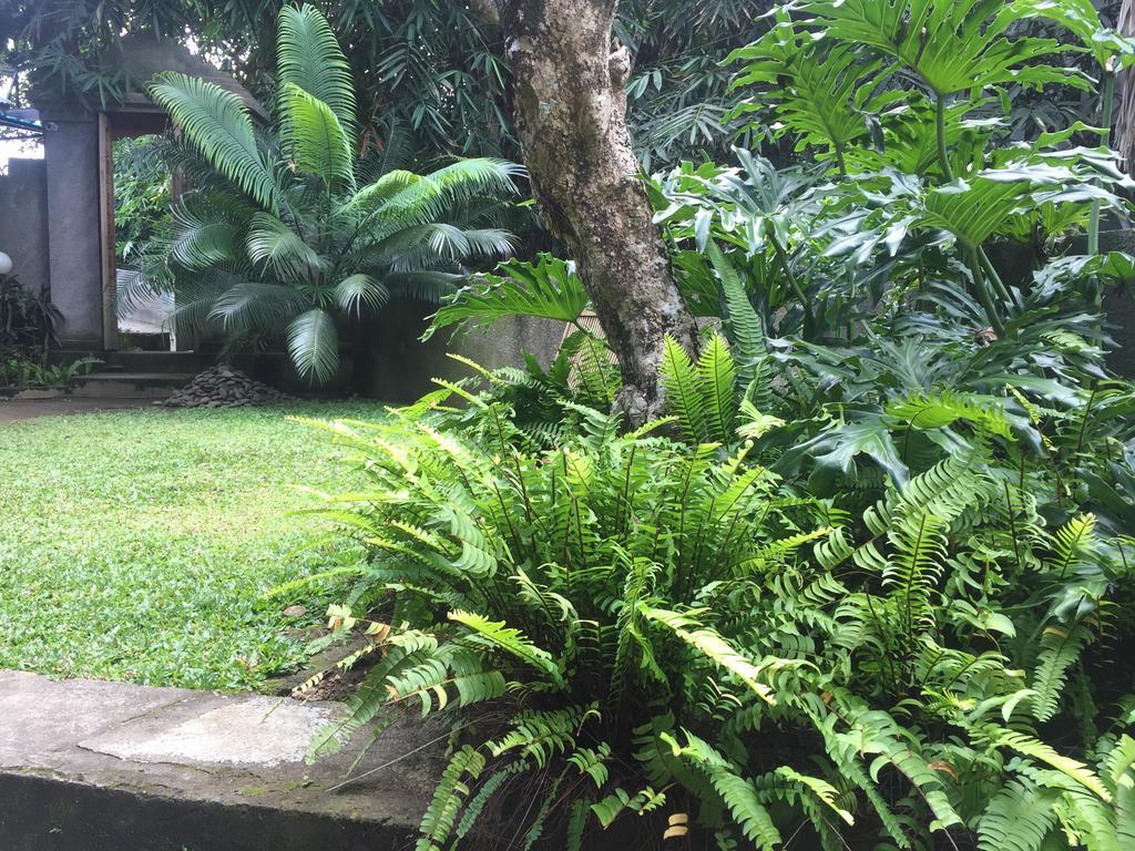 Kiyan Teges Ubud Ubud (Bali) Ngoại thất bức ảnh